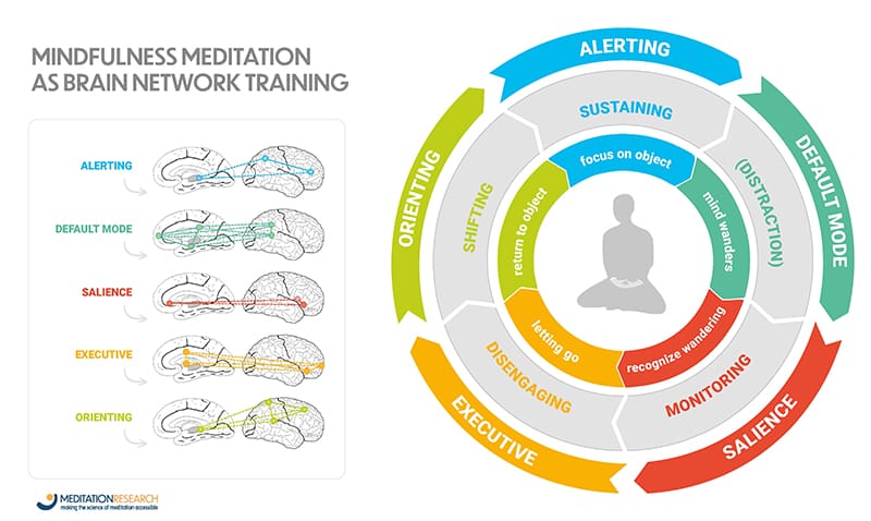 Brain networks during meditation