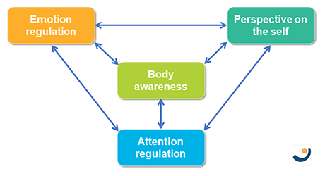 1. Attention regulation 2. Body awareness  3. Emotion regulation  4. Change in perspective on the self