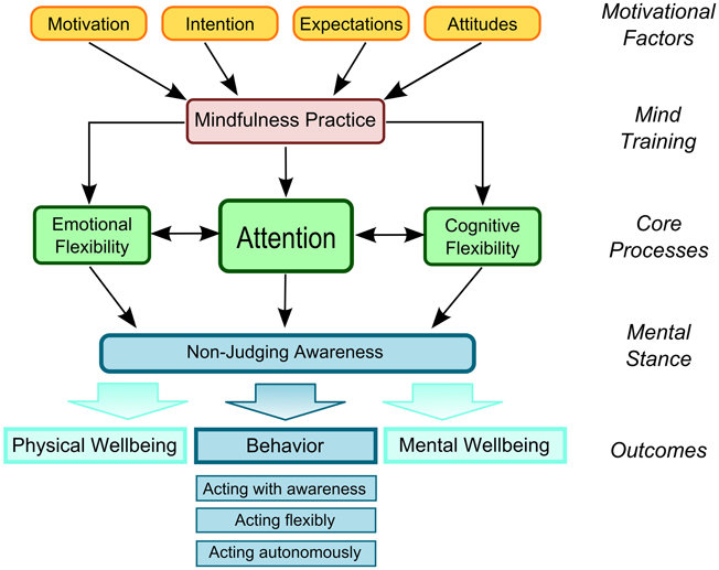 The Liverpool Mindfulness Model